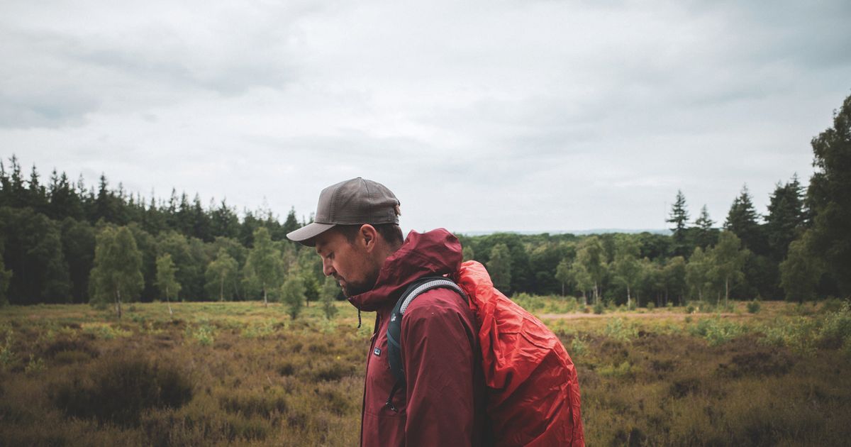 Tim Knol — Wanderings