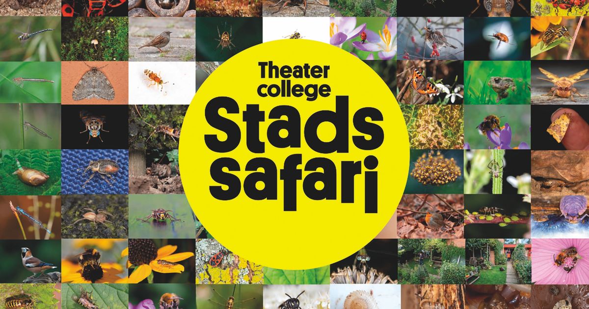 Stadssafari (8+)
