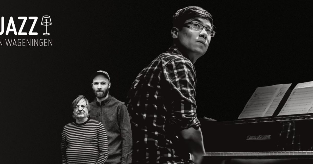 Alex Koo Trio — Concert Jazz in Wageningen
